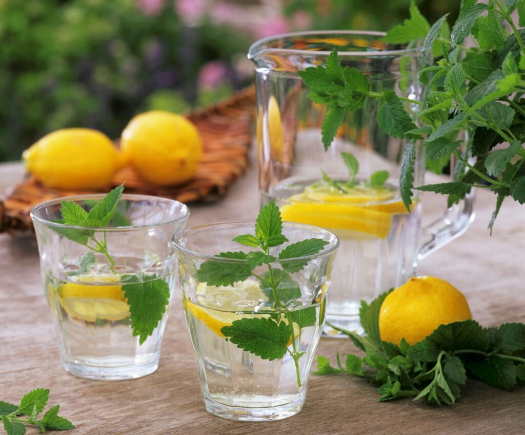 Lemon Balm Recipes for Weight Loss A Comprehensive Guide